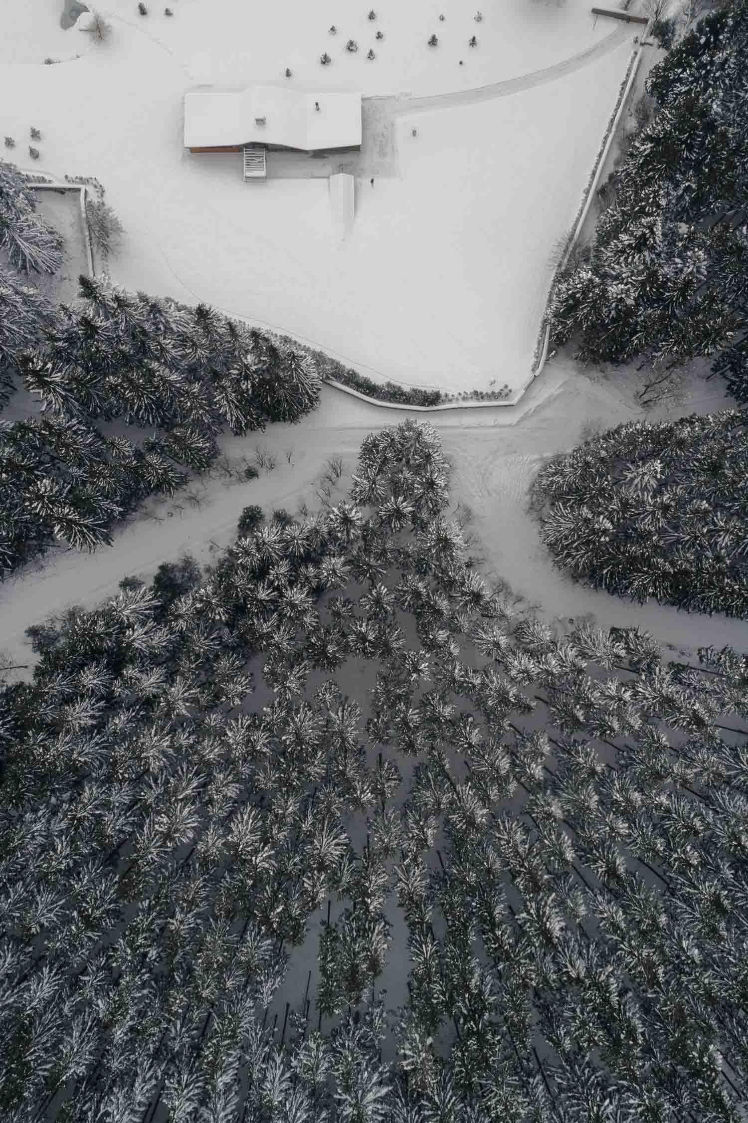 pic